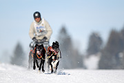p-f.ch_120218_1135_3063_1D