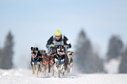 p-f.ch_120218_1137_3080_1D
