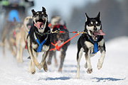 p-f.ch_120218_1137_3085_1D