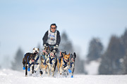 p-f.ch_120218_1139_3090_1D