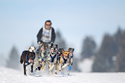 p-f.ch_120218_1139_3093_1D