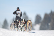 p-f.ch_120218_1141_3104_1D