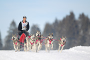 p-f.ch_120218_1146_3146_1D
