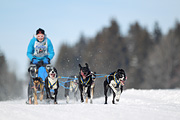 p-f.ch_120218_1201_3181_1D