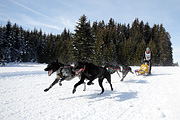 p-f.ch_120218_1251_3497_1D