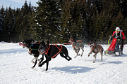 p-f.ch_120218_1251_3504_1D