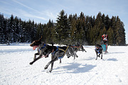 p-f.ch_120218_1251_3512_1D