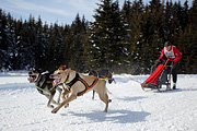 p-f.ch_120218_1251_3519_1D