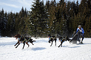 p-f.ch_120218_1252_3526_1D