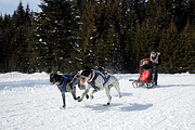 p-f.ch_120218_1252_3536_1D