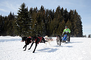 p-f.ch_120218_1252_3544_1D