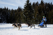 p-f.ch_120218_1253_3551_1D