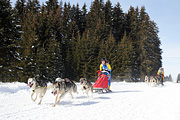 p-f.ch_120218_1254_3557_1D