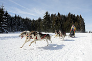 p-f.ch_120218_1254_3561_1D