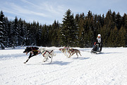 p-f.ch_120218_1255_3573_1D