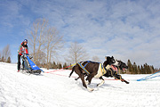 p-f.ch_120218_1526_4164_1D