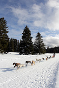p-f.ch_120218_1544_4241_1D