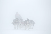 p-f.ch_120108_1502_9885