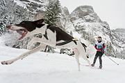 Kandersteg