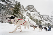 Kandersteg