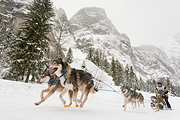 p-f.ch_120121_1256_0240_5D