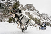 p-f.ch_120121_1327_0250_5D