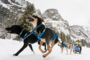 p-f.ch_120121_1328_0251_5D