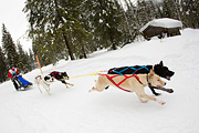 p-f.ch_120121_1329_0676_1D