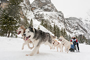 p-f.ch_120121_1332_0255_5D