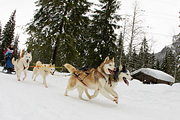 p-f.ch_120121_1332_0690_1D