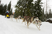 p-f.ch_120121_1335_0704_1D