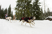 p-f.ch_120121_1336_0713_1D