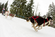 p-f.ch_120121_1336_0715_1D