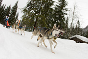 p-f.ch_120121_1337_0722_1D