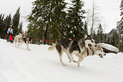 p-f.ch_120121_1338_0737_1D