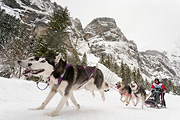 p-f.ch_120121_1339_0260_5D