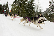 p-f.ch_120121_1339_0750_1D
