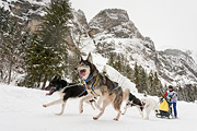 p-f.ch_120121_1341_0261_5D