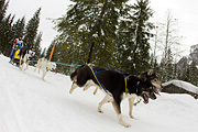 p-f.ch_120121_1341_0760_1D