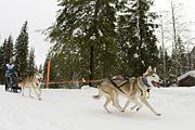 p-f.ch_120121_1342_0774_1D