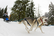 p-f.ch_120121_1343_0801_1D