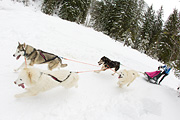 p-f.ch_120121_1347_0844_1D