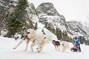 p-f.ch_120121_1348_0268_5D