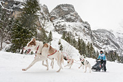 p-f.ch_120121_1348_0270_5D
