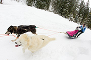 p-f.ch_120121_1348_0845_1D