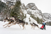 p-f.ch_120121_1349_0271_5D