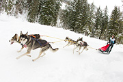 p-f.ch_120121_1349_0864_1D