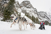 p-f.ch_120121_1351_0273_5D