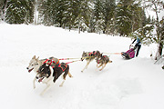 p-f.ch_120121_1351_0876_1D