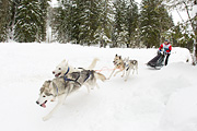 p-f.ch_120121_1351_0887_1D